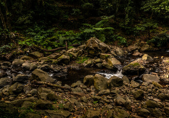 Madeira - Santo Da Serra
