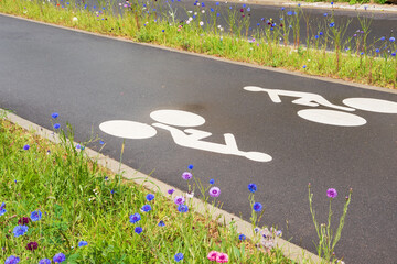 Bicycle lane bordered by wildflowers. Environment friendly cycling infrastructure in city. France. Selective focus.