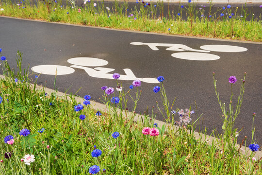 Bicycle lane bordered by wildflowers. Environment friendly cycling infrastructure in city. France
