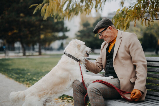 Happy senior man sitting on bench and embracing his dog outdoors in park in city. - Powered by Adobe