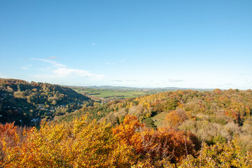 Fototapeta na wymiar Autumn scenery around Symonds Yat in the UK countryside.