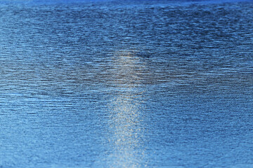 golden glow on the tafil of water