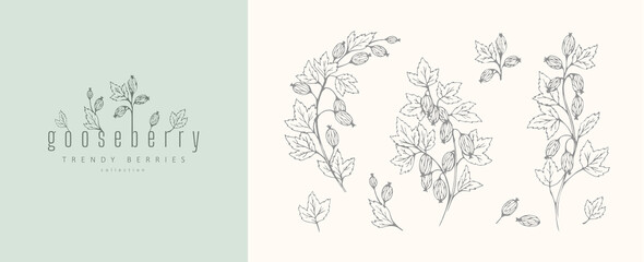 Naklejka na ściany i meble Gooseberries floral branch and logo set. Hand drawn line berries, elegant leaves for invitation save the date card. Botanical rustic trendy greenery