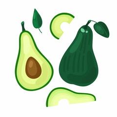 Vector set with avocado on a white background. Cut fruit, pieces, seed and avocado leaves.