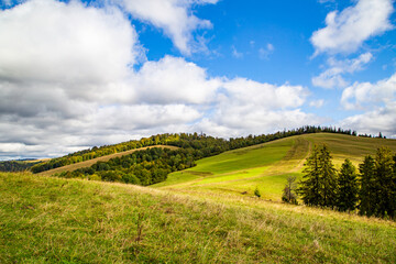 grassy hills covered with trees on a warm spring day blue sky with clouds. spring nature scenario.