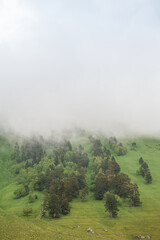 Beautiful landscape with meadow valley and fog clouds