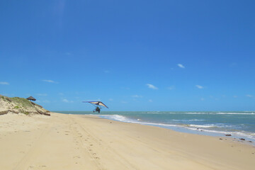 Fototapeta na wymiar Motorized hang glider taking off on the beach