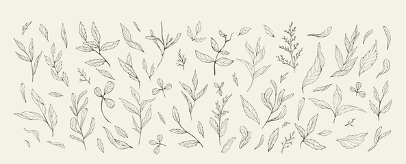 Floral branch and minimalist leaves for logo or tattoo. Hand drawn line wedding herb, elegant leaves for invitation save the date card. Botanical rustic trendy greenery