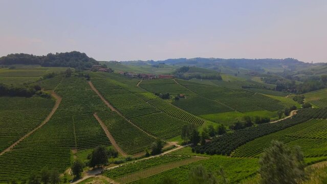 Flying on Italian's Vineyard - 4K ProRes