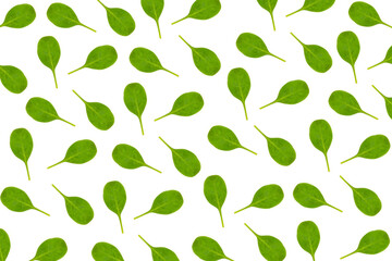 Baby spinach leaves pattern on white background. Flat lay. Concept of organic food and vegan