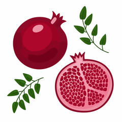 Vector set with red pomegranate on a white background. Illustration of a ripe halved and whole pomegranate with seeds and leaves.