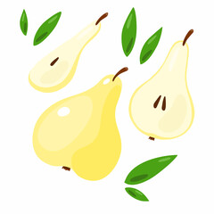 Vector set with yellow pears on a white background. Illustration of a halved and whole pear with seeds and leaves.