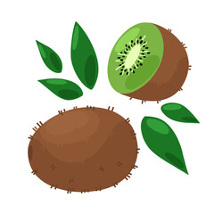 
Vector set with green kiwi on a white background. Illustration of halved and whole fruit with seeds and leaves.