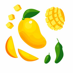 Fresh mango with mango slice and leaves vector illustration. Illustration of halved and whole mango fruit with leaves.