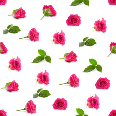 seamless pattern with roses on a white background, wallpaper of roses
