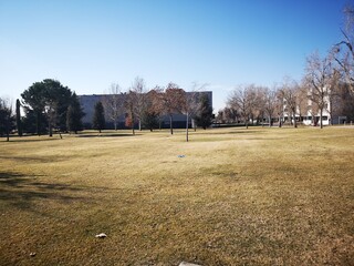 Obraz premium Trees during winter in the park in Madrid