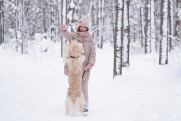 Obraz premium A young redheaded woman plays with her dog in the winter woods. A beautiful girl walks through a picturesque snow-covered park with a golden retriever. The concept of friendship with a pet.