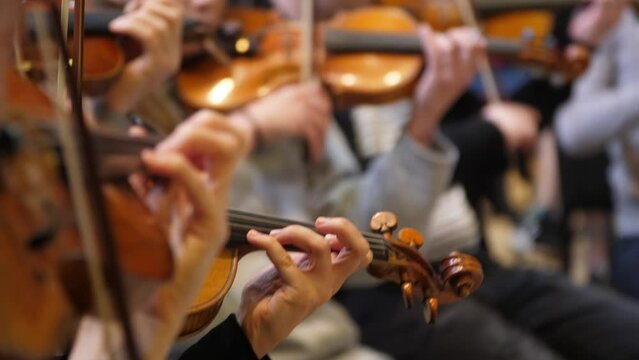 Close-up of the musicians playing violins at the orchestra concert. Musicians playing violins at the orchestra concert