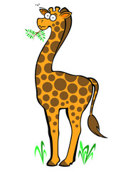 Cute cartoon giraffe chewing on acacia branch