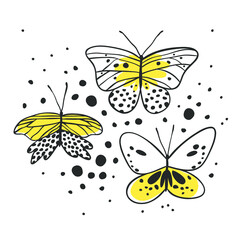 Set of butterfly. Hand drawn vector illustration. Decorative elements for design. Black contour drawing. Creative ink art work