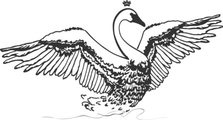 Swan icon vector from fairytale collection. Thin line swan outline icon vector illustration. © Olga