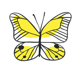 Isolated butterfly. Hand drawn vector illustration. Decorative elements for design. Black contour drawing. Creative ink art work