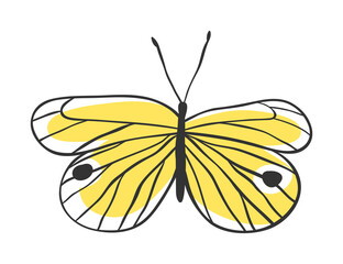 Isolated butterfly. Hand drawn vector illustration. Decorative elements for design. Black contour drawing. Creative ink art work