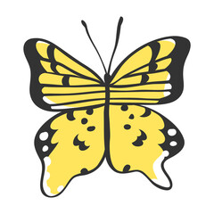 Isolated butterfly. Hand drawn vector illustration. Decorative elements for design. Black contour drawing. Creative ink art work