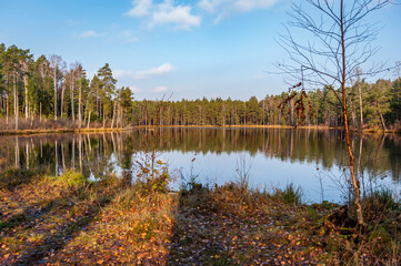 Fototapeta na wymiar Idyllic autumn lake scenery in Kemeri national park, Latvia. Serene morning scenery with reflection of cloudy sky on the water surface.