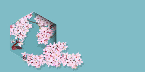 Vector illustration design banner of cherry blossoms. copy space, 3D, invitation card, greeting card, celebration, website, sign, poster, flyer, background, vintage blue, pink, graphic