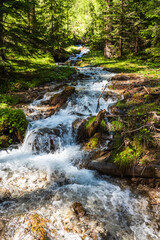 Bach im Wald. Steine, Wasser, Bachlauf, Fluss in frier Natur.