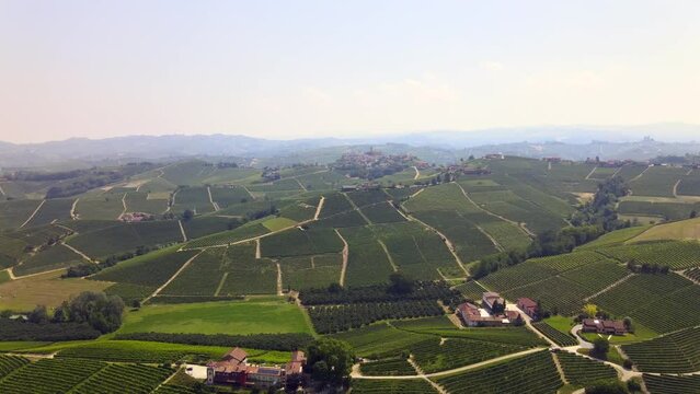 Flying on Barolo's vineyard - 4K ProRes