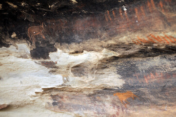 Bushman paintings, cavemen, sa,