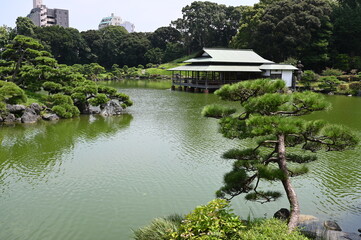 Fototapeta premium 夏の東京の清澄庭園の風景