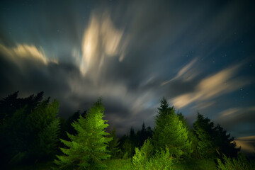 Night photo of spruce forest and clouds movement. Long exposure.