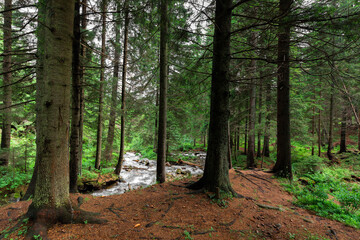 beautiful mountain waterfall with trees in the background