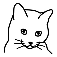 Cat Flat Icon Isolated On White Background