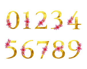Gold number set isolated textured design element decoration graphic floral greeting card template wedding invitation birthday party pink flower golden sign luxury font type watercolor botany painting