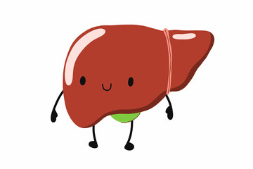 Liver character. Healthy liver. Stock vector cartoon illustration on a white background.