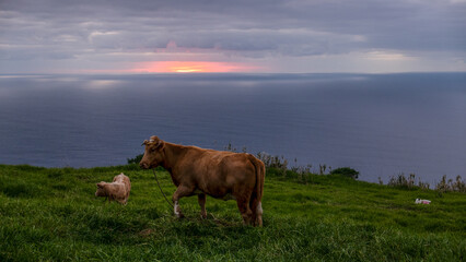 Madeira, Ponto do Parg0