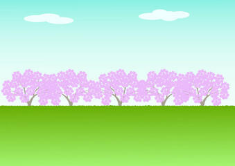 Fototapeta na wymiar 青空の下、土手の上の桜並木