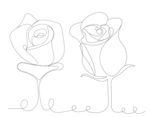 rose outline in one line,vector