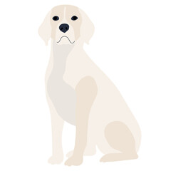 dog flat design on white background