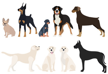 dogs set flat design on white background, vector