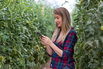 Smart agriculture. Agricultural technology and organic farming A woman uses a mobile phone with innovative technology and studies the development of varieties in a greenhouse. 