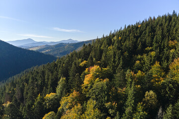 High hills with dark pine woods on autumn bright day. Amazing scenery of wild mountain woodland