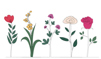 flowers, plants one line outline,vector