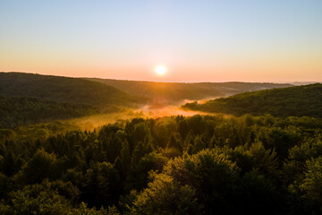 Vibrant foggy morning over dark forest trees at bright summer sunrise. Amazingl scenery of wild woodland at dawn