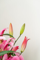 lily, pink lily, bouquet of flowers