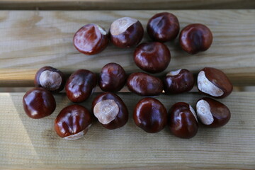chestnuts on wooden table